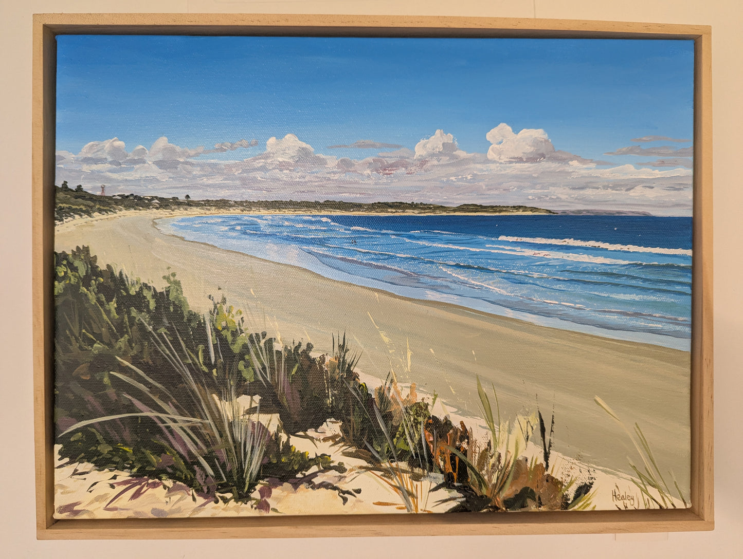 New! Lady Bay Summer, Warrnambool