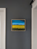 Canola Fields (The Grampians)