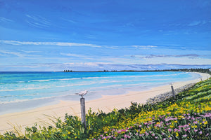 East Beach Seagulls, Port Fairy