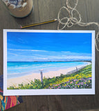 East Beach Seagulls, Port Fairy