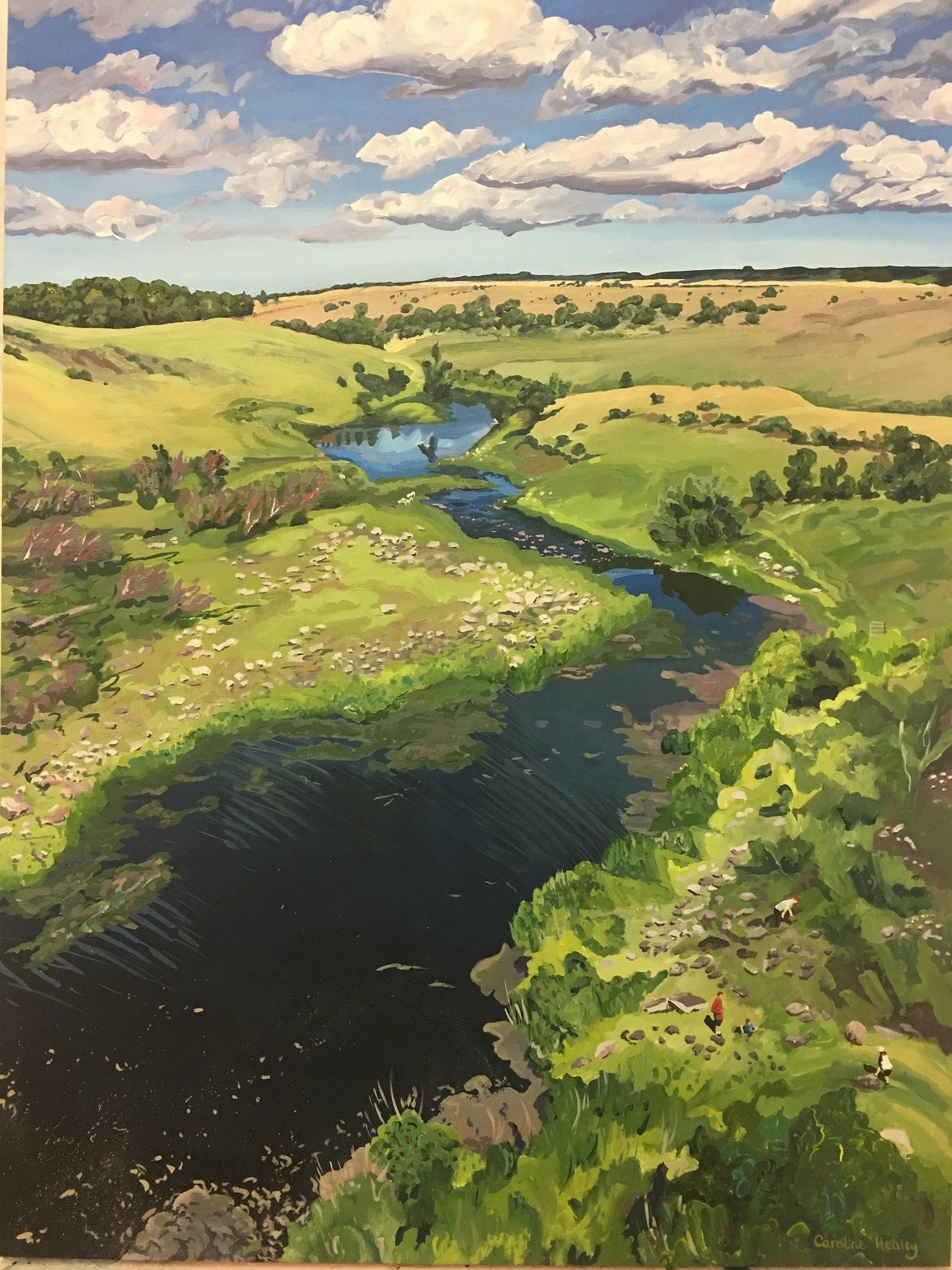 Downriver from Hopkins Falls